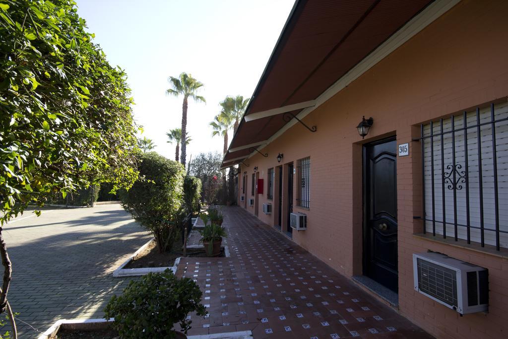 Hostal Nueva Andalucia Alcalá de Guadaira Εξωτερικό φωτογραφία