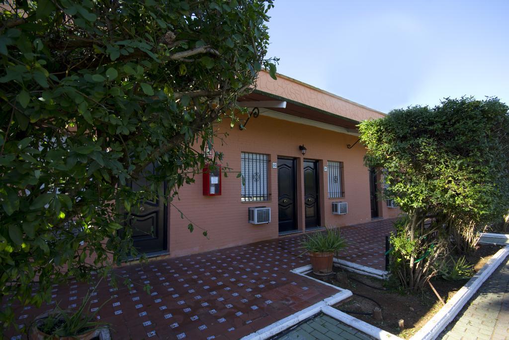 Hostal Nueva Andalucia Alcalá de Guadaira Εξωτερικό φωτογραφία